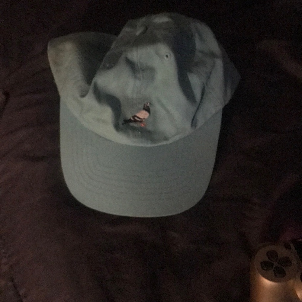 Pigeon hat